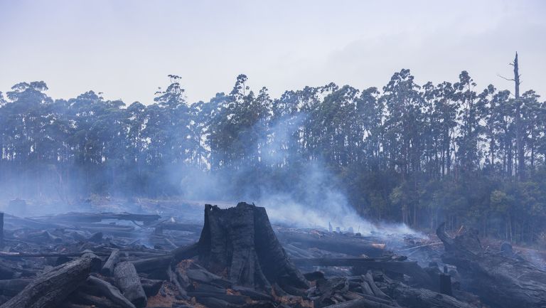 Bushfire disaster in Australia