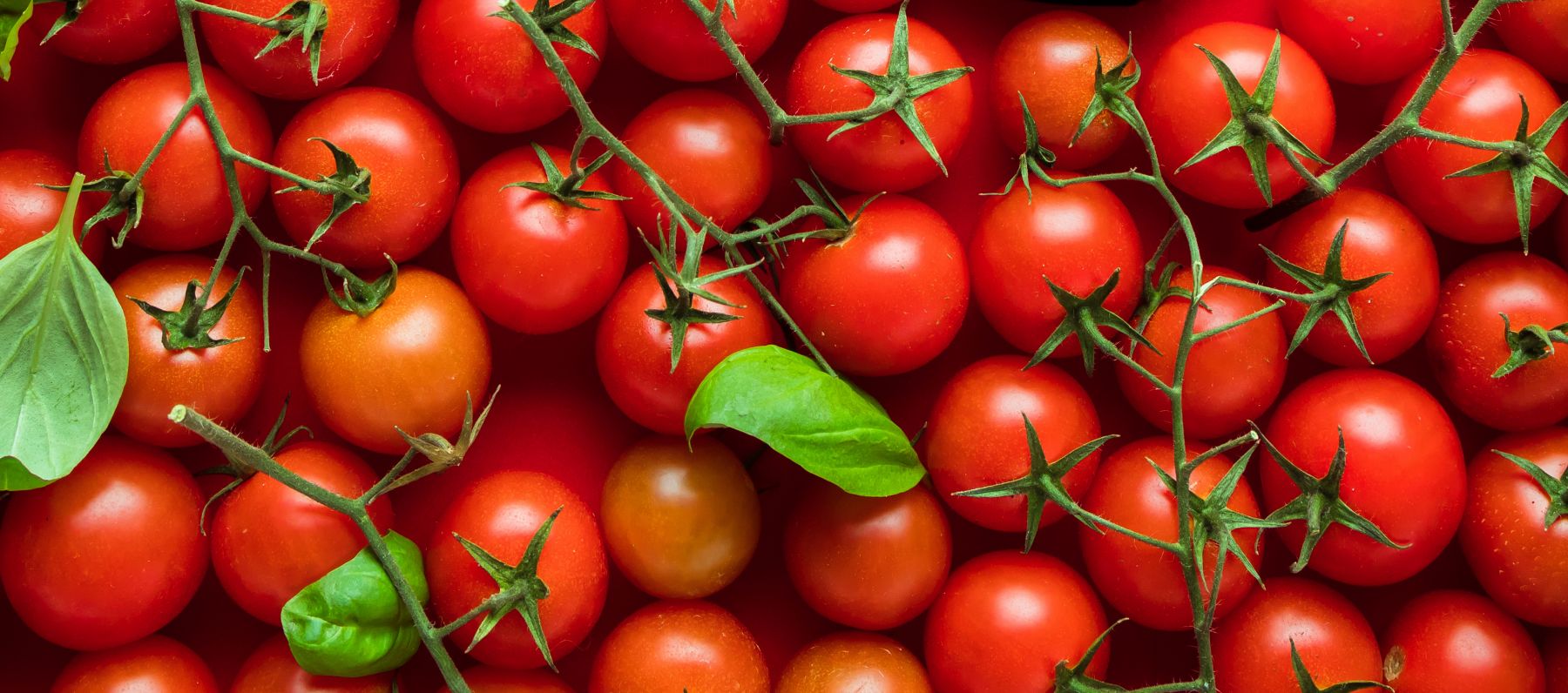 ThinkPlace designer Eliot Duffy says tomatoes might tell a story about the meaning of innovation