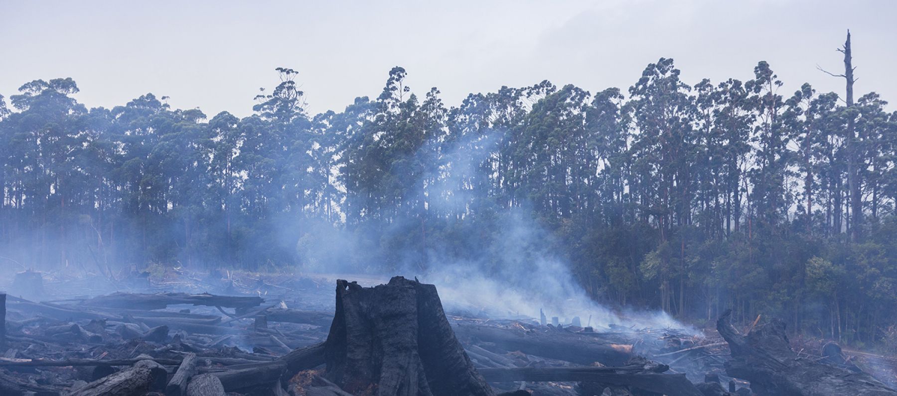 Bushfire disaster in Australia